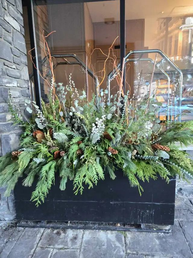 Luxury Winter Planters