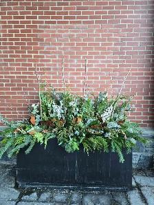 Luxury Winter Planters - Photo 3