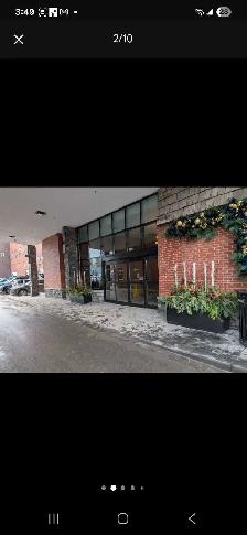 Luxury Winter Planters - Photo 8