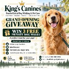 KING’S CANINES – DOG  WALKING & PET CARE - Photo 2