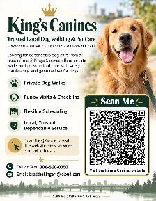 KING’S CANINES – DOG  WALKING & PET CARE - Photo 4