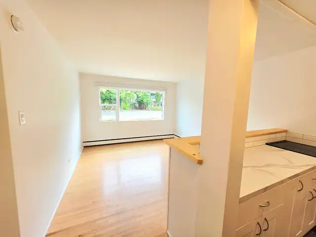 Renovated One Bedroom Suite