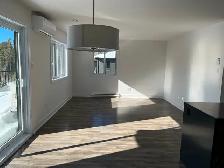 Logement 5 1/2, Mont Tremblant - Photo 10