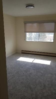 Conveniently Located 2 Bedroom Suite - Photo 3