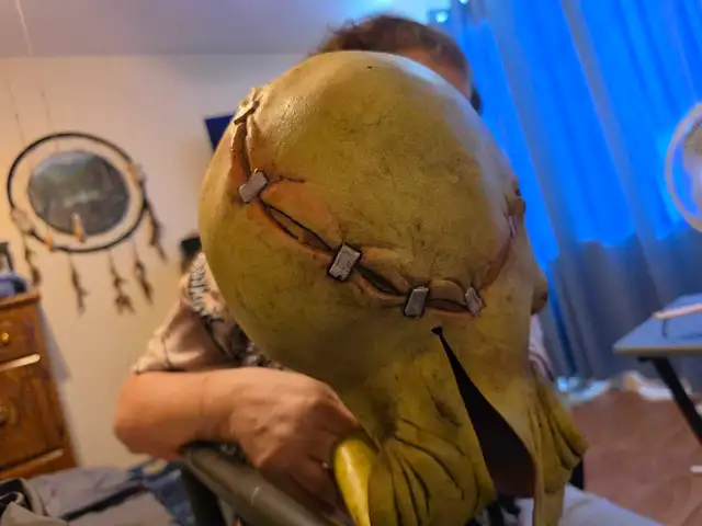 Halloween mask for sale