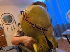 Halloween mask for sale