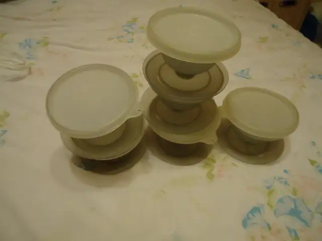 TUPPERWARE JELLOW CUPS WITH COVER SET (6)