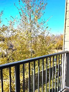Condo for Rent - Photo 6
