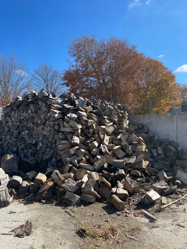 Seasoned firewood