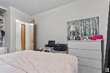 U Of A area, whole house for rent - Photo 6