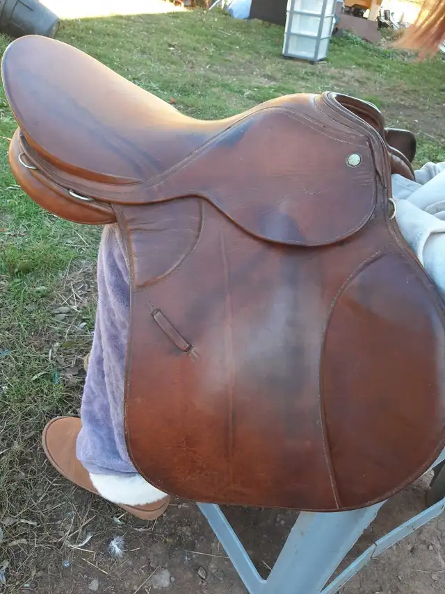 English saddle