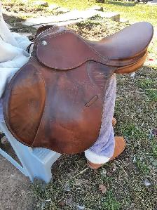English saddle - Photo 2