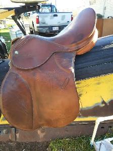 English saddle - Photo 6