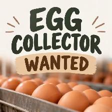 Egg Collector – Weekends & Some Weekdays