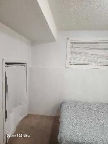Walkout Basement Rent - Photo 3