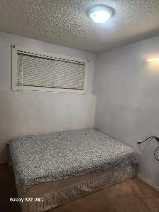 Walkout Basement Rent - Photo 4