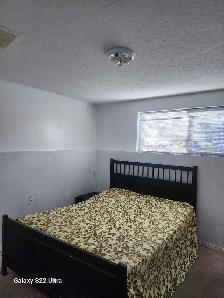 Walkout Basement Rent - Photo 5