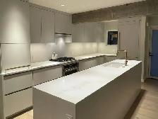 Quartz Kitchen Countertops and Cabinetry