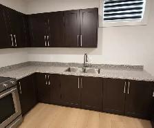 Basement for Rent - Photo 9