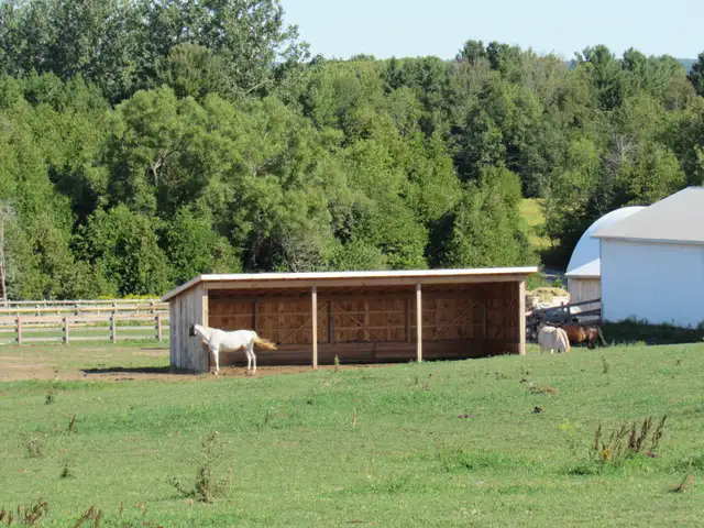 Outdoor Horse Boarding Available for a senior quite Mare