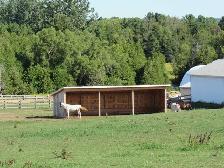 Outdoor Horse Boarding Available for a senior quite Mare