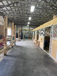 Outdoor Horse Boarding Available for a senior quite Mare - Photo 3