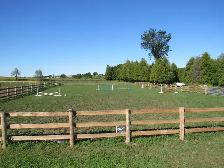 Outdoor Horse Boarding Available for a senior quite Mare - Photo 5