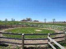 Outdoor Horse Boarding Available for a senior quite Mare - Photo 6