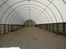 Outdoor Horse Boarding Available for a senior quite Mare - Photo 7