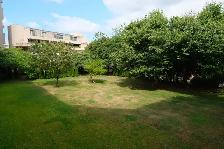 Two Bedroom Apartments Next to Seawall