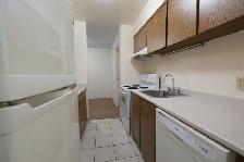 Two Bedroom Apartments Next to Seawall - Photo 8