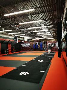 3,000 sq ft Matted Studio for Rent - Yonge & Steeles, Thornhill - Photo 3