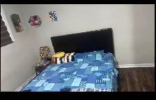 Room available for rent in 3 bedroom  2 washroom house in Malton
