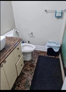 Room available for rent in 3 bedroom  2 washroom house in Malton - Photo 5