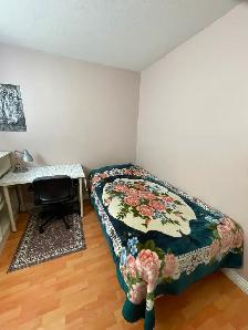 Bright private furnished BR in 2 BR bsmt suite by Joyce Station - Photo 8