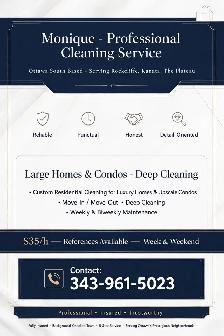 PROFESSIONAL HOUSE CLEANER - ROCKCLIFFE & NEW EDINBURGH - $35/h
