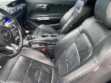 2017 Ford Mustang PREMIUM  GRABBER BLUE 6-SPEED MANUAL! - Photo 8