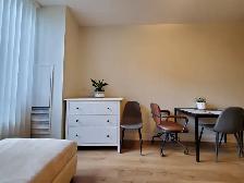Bright and spacious 1-bedroom condo in Vaughan near Promenade - Photo 10