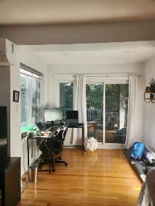 3.5   Den Apartment for Rent (PiX-IX, Montreal) - Photo 2