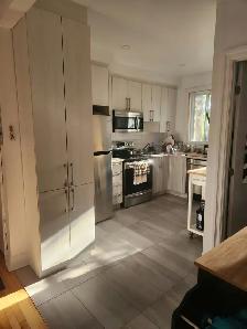 3.5   Den Apartment for Rent (PiX-IX, Montreal) - Photo 4