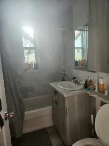 3.5   Den Apartment for Rent (PiX-IX, Montreal) - Photo 5
