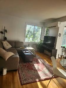 3.5   Den Apartment for Rent (PiX-IX, Montreal) - Photo 8