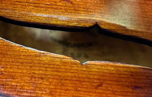 1926 Roth Violin