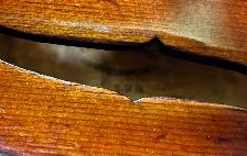 1926 Roth Violin