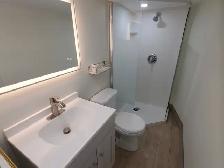 Walkeville- newly renovated in-law-suite - private avail Nov 1st - Photo 8