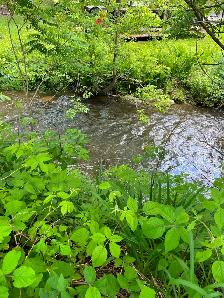 Terrain au Camping Parc Bromont - Photo 4