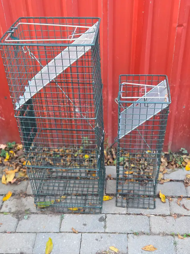 Catch and release cages