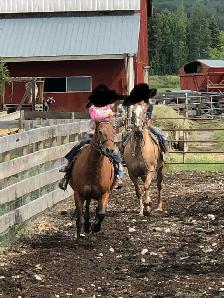 2017 quarter horse/ Appaloosa mare - Photo 4