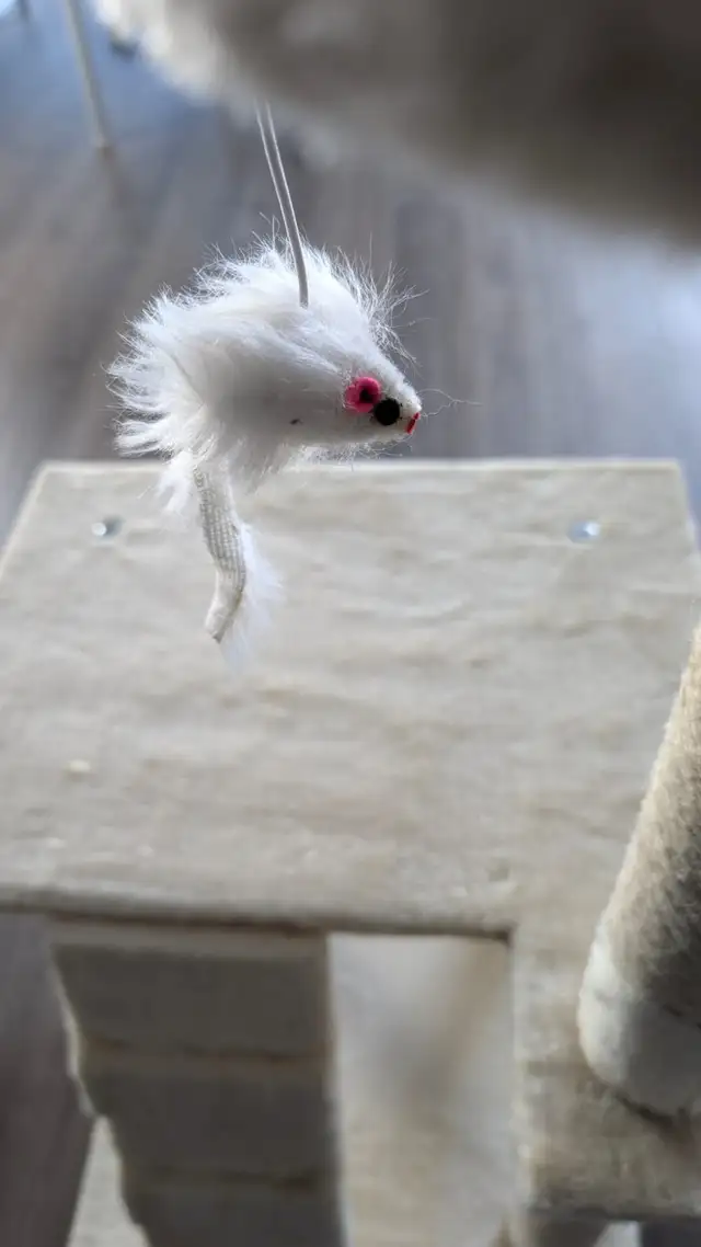 Compact Beige Cat Tree