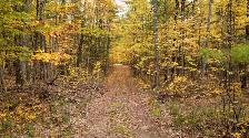 Lot for Sale on Isle-aux-Allumettes - Photo 2